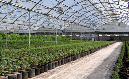 Achieving Ohio Cannabis Security Compliance and Passing Inspections - Cleveland