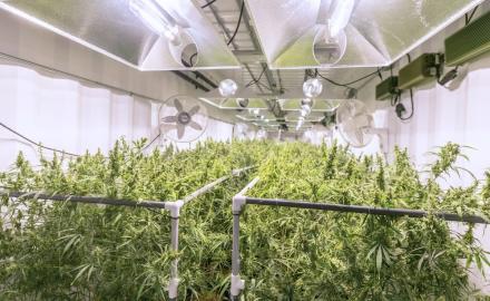 DEM360 Comprehensive Cannabis Security for Akron