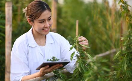Ensuring Ohio Cannabis Security Compliance and Successful Inspections - Akron