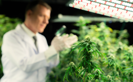 Meeting Ohio Cannabis Security Requirements and Passing Inspections - Columbus