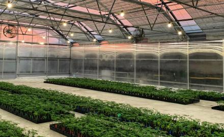 DEM360 Cannabis Security Expertise for Cincinnati